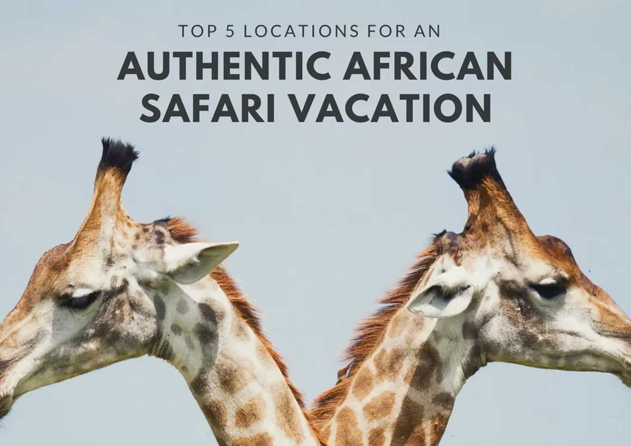 Two giraffes against a clear sky with text suggesting safari vacation locations.