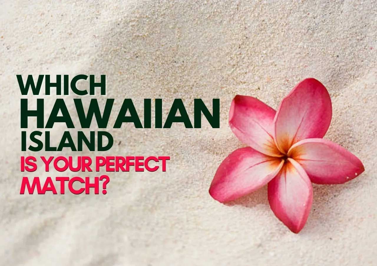 A plumeria flower on sand with text "which hawaiian island is your perfect match?.