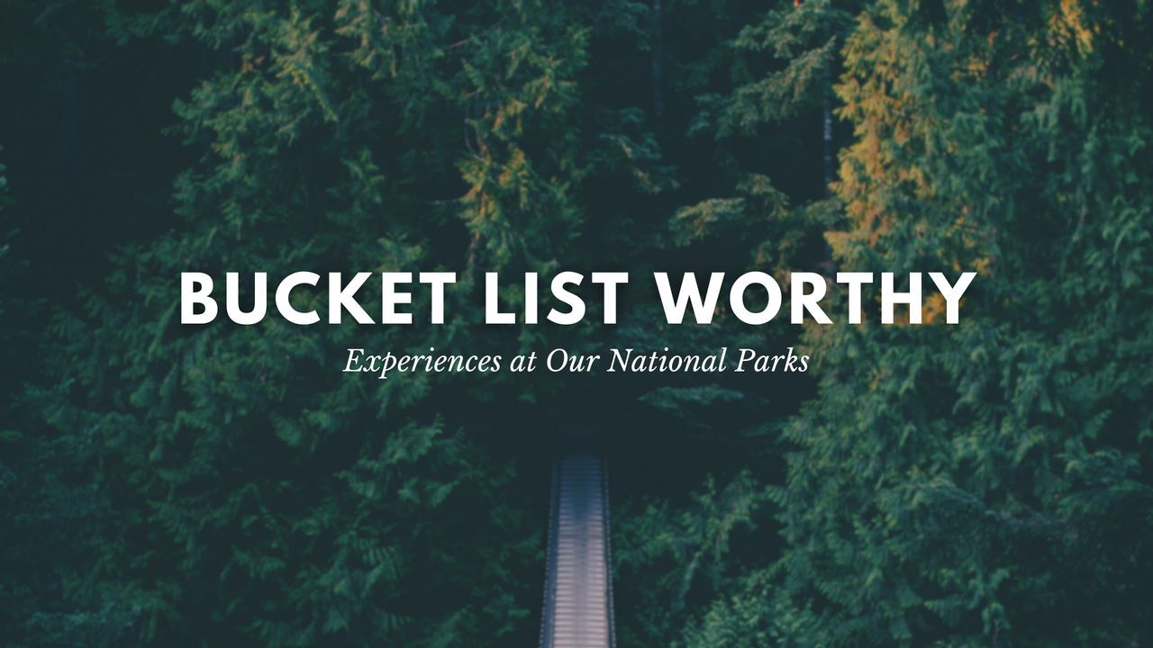 A serene view of a pathway leading through a dense forest, with text overlay: "bucket list worthy - experiences at our national parks.