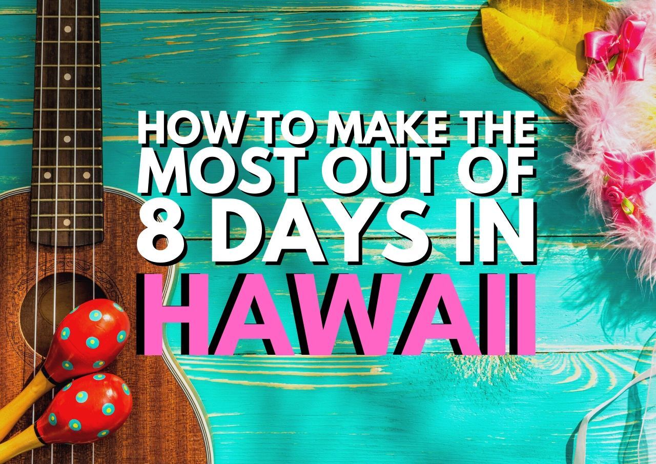 A colorful travel guide concept with hawaiian vacation elements, including a ukulele and festive maracas.