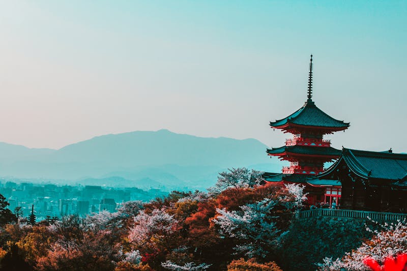 Japan Temples with mountain