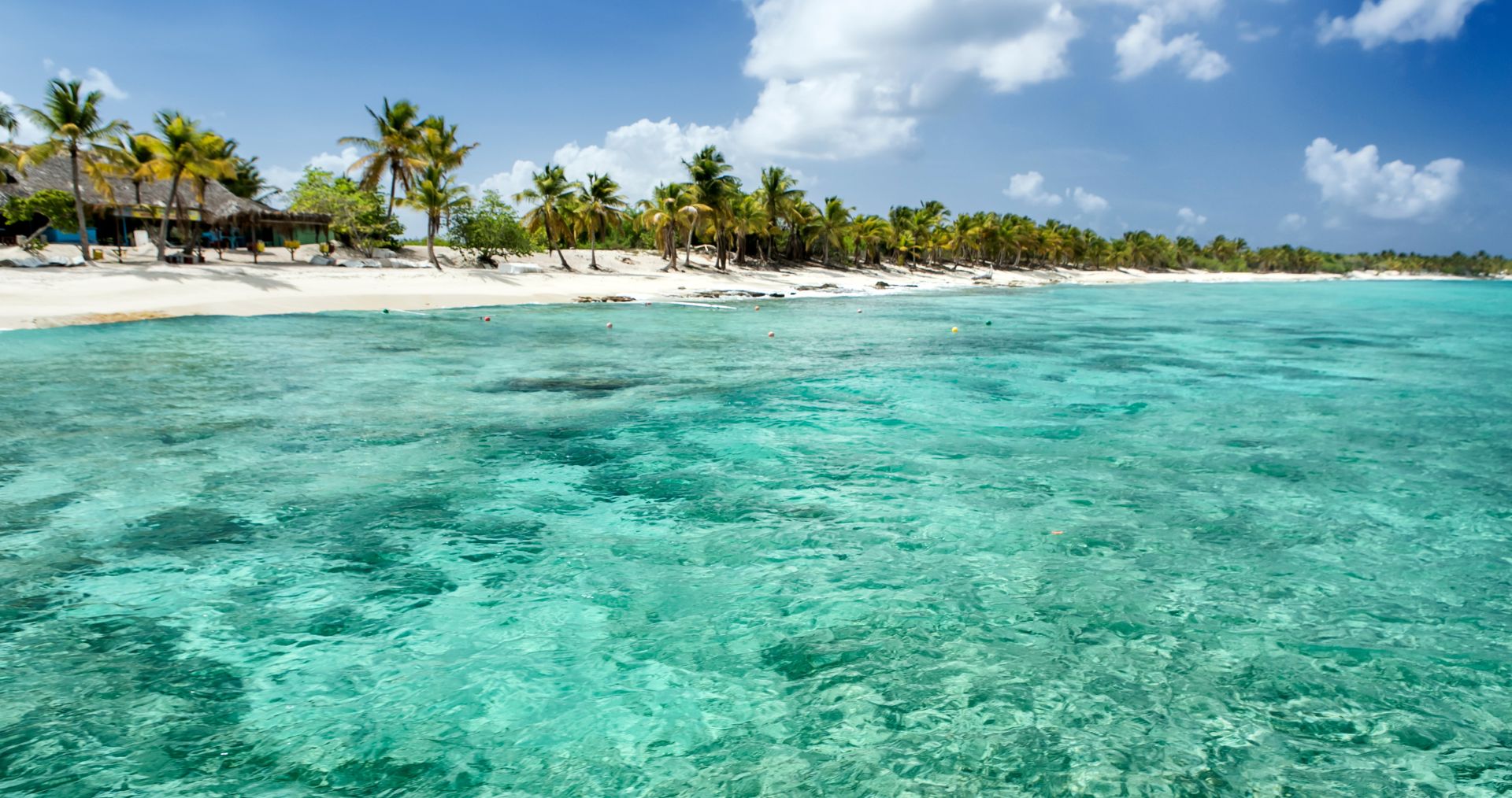 A quiet white-sand beach in the Dominican Republic