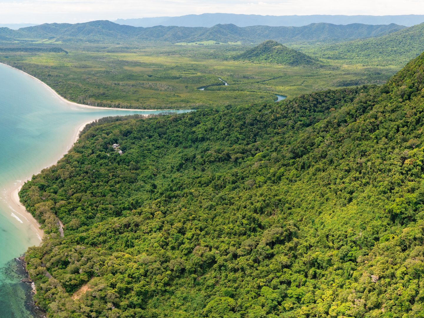 Daintree Rainforest