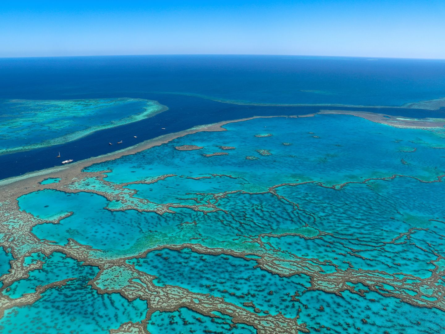 Great Barrier Reef Australia