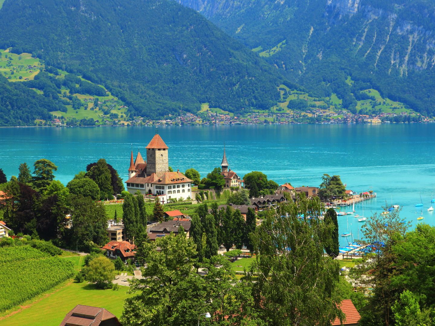 Lake Thun Switzerland