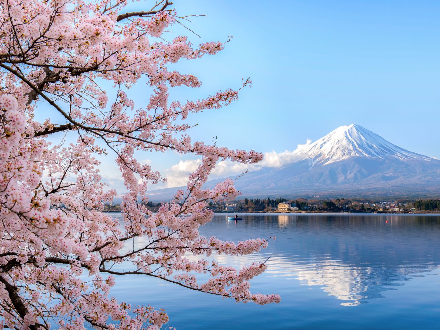 Mt Fuji Japan