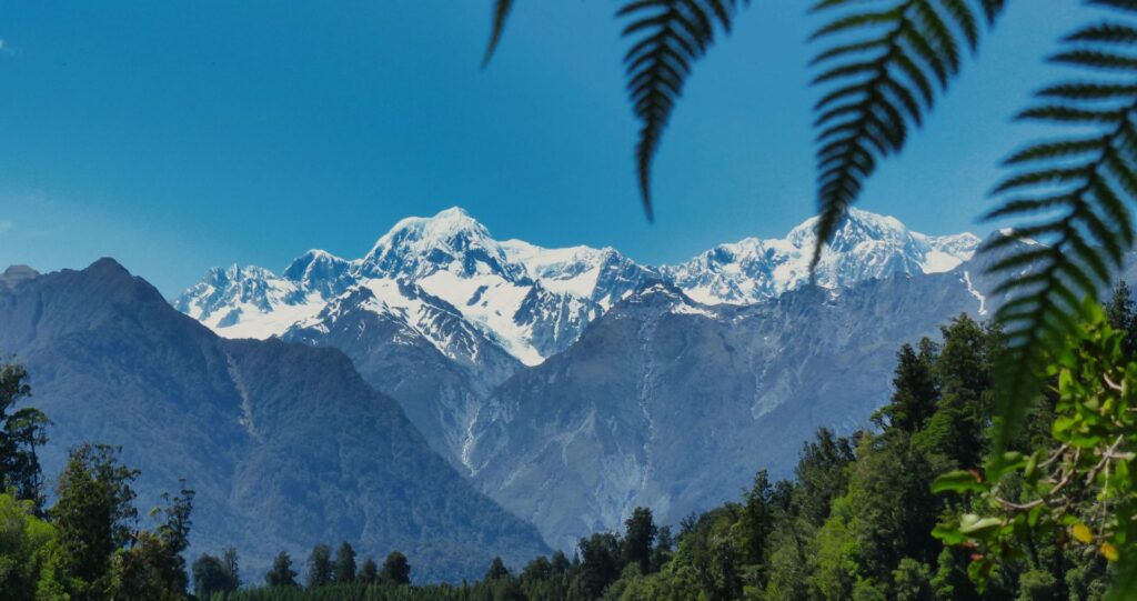 Snow-capped mountains above the forest in New Zealand