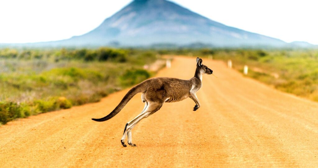 Western Australia