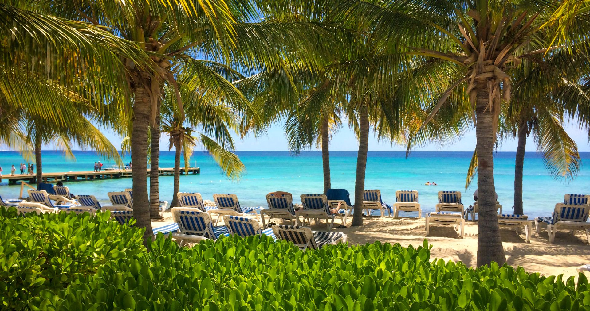 Palm trees and white sand on Grace Bay Beach, Turks and Caicos