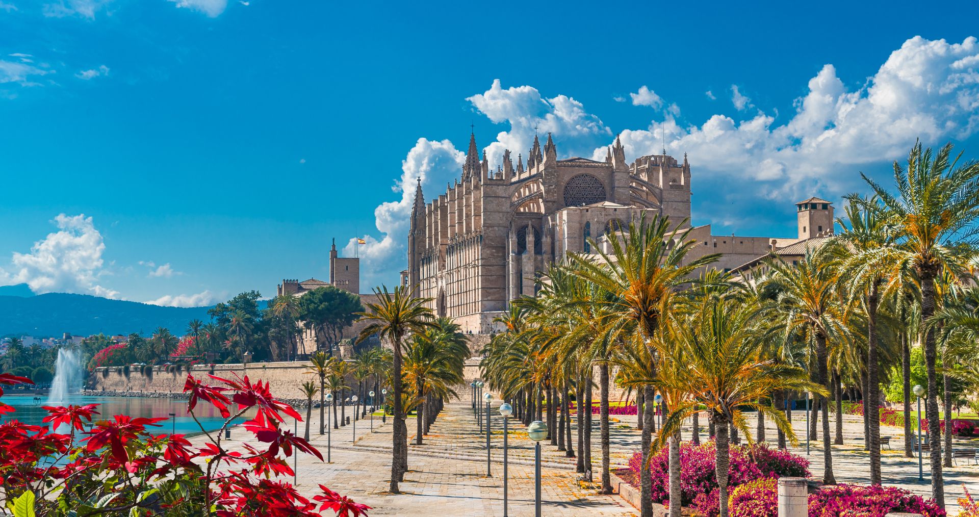 Palma Cathedral in Mallorca rising above palm-lined gardens