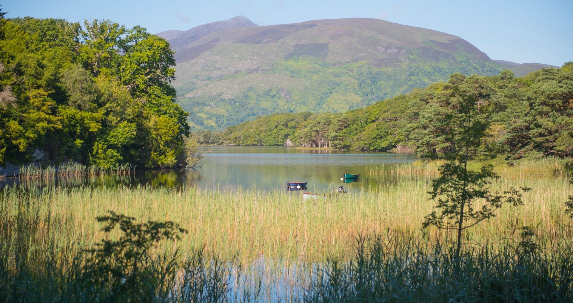Lough Leane in Killarney National Park beneath the Kerry mountains