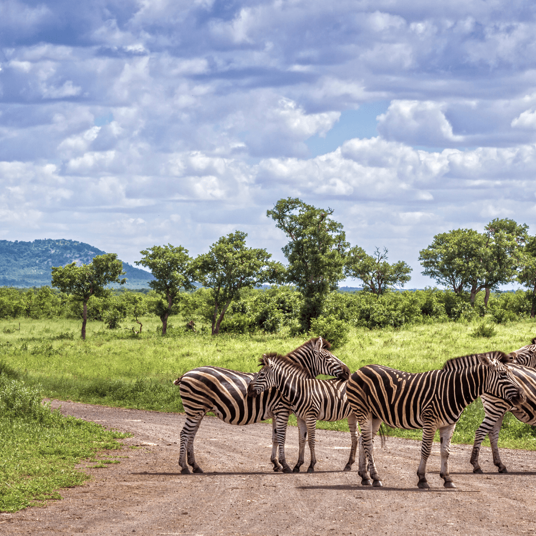 Amboseli National Park