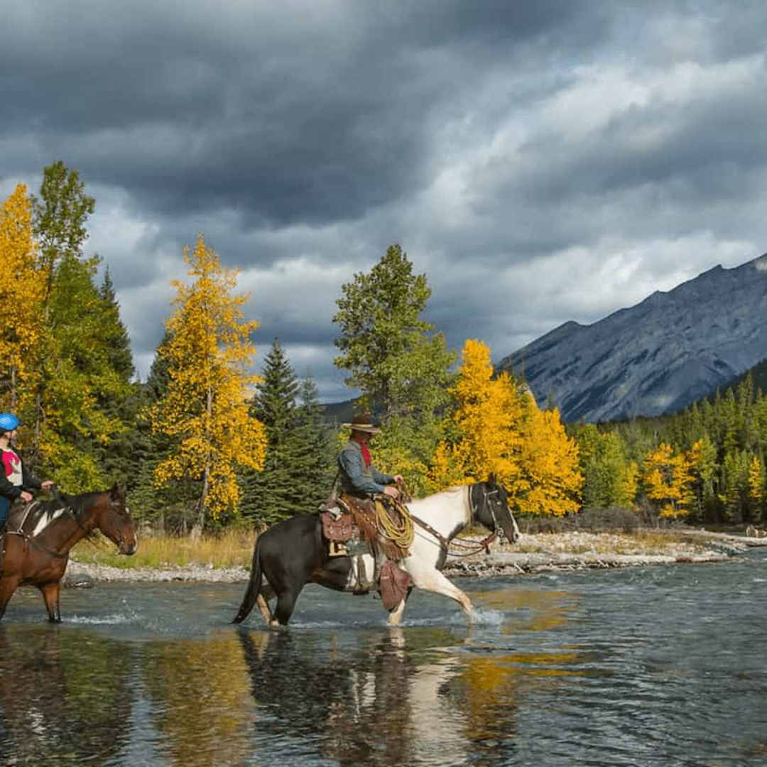 Horse Backriding