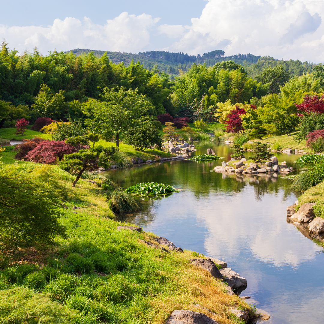 Japan Garden