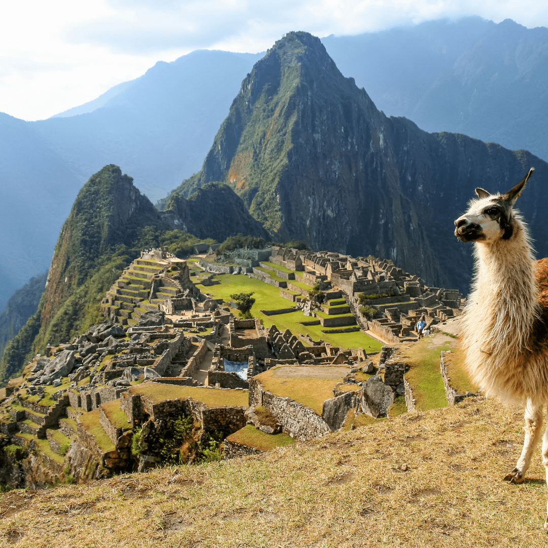 Machu Picchu