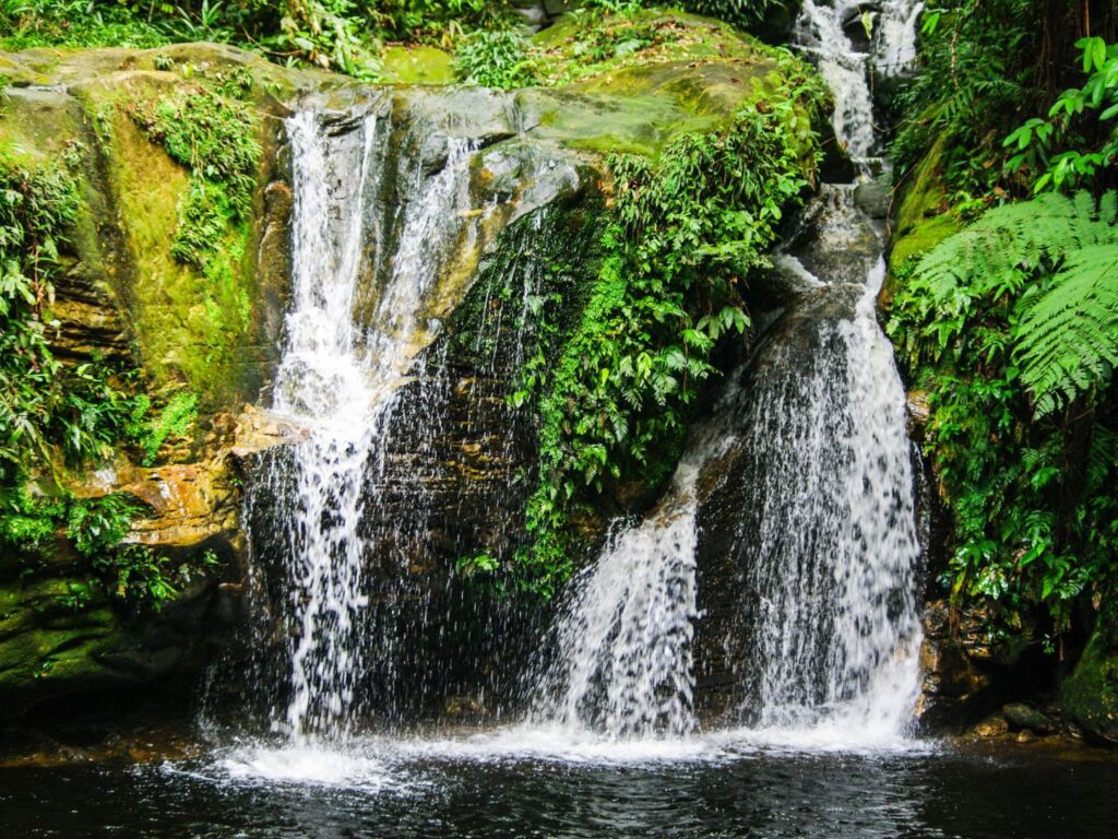 A waterfall tumbling through lush rainforest