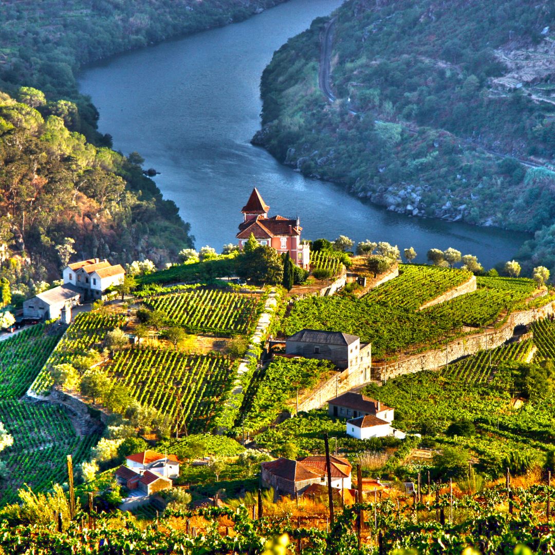 Douro Valley