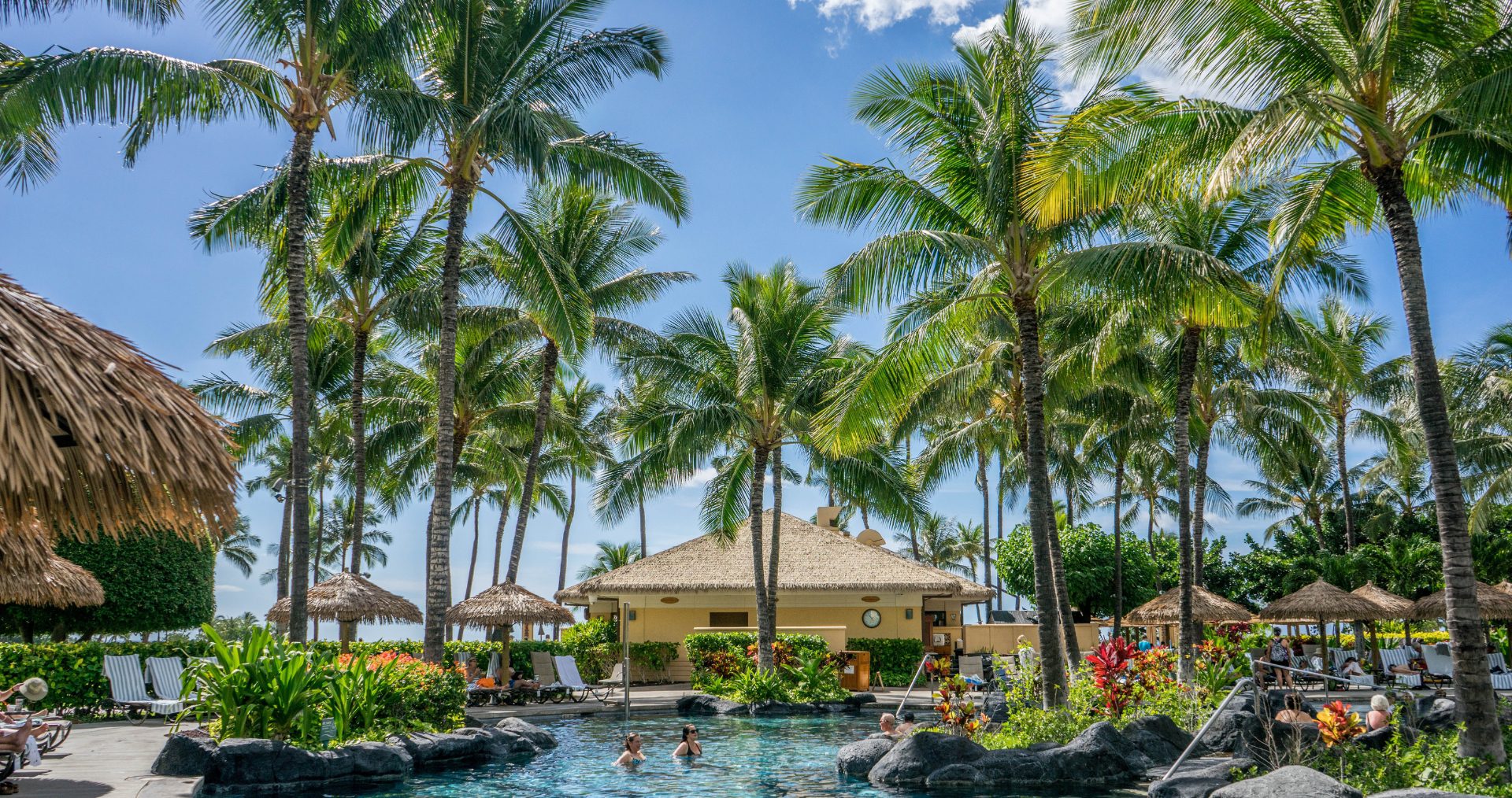 Palm trees above a quiet Hawaiian shoreline
