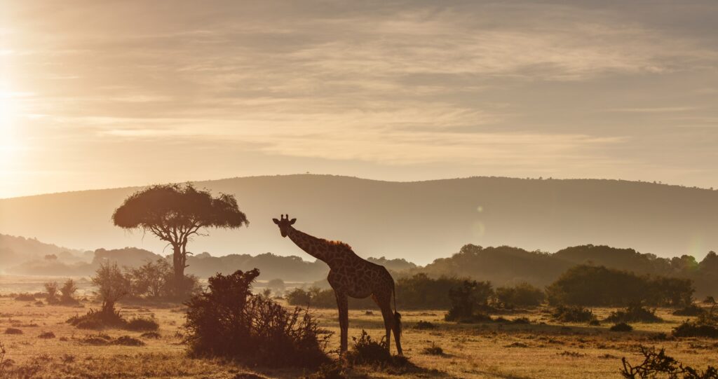 Kenya