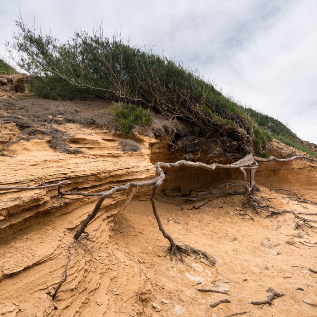 Makawehi Lithified Cliffs