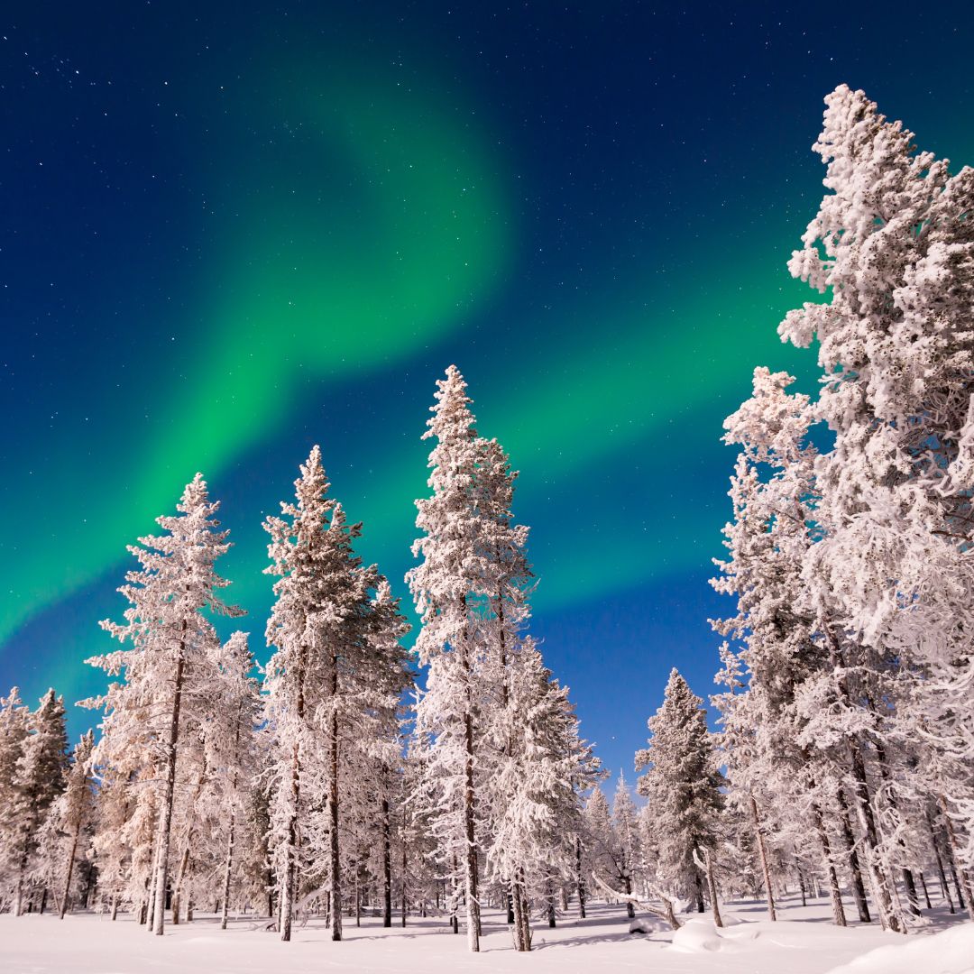 Northern Lights