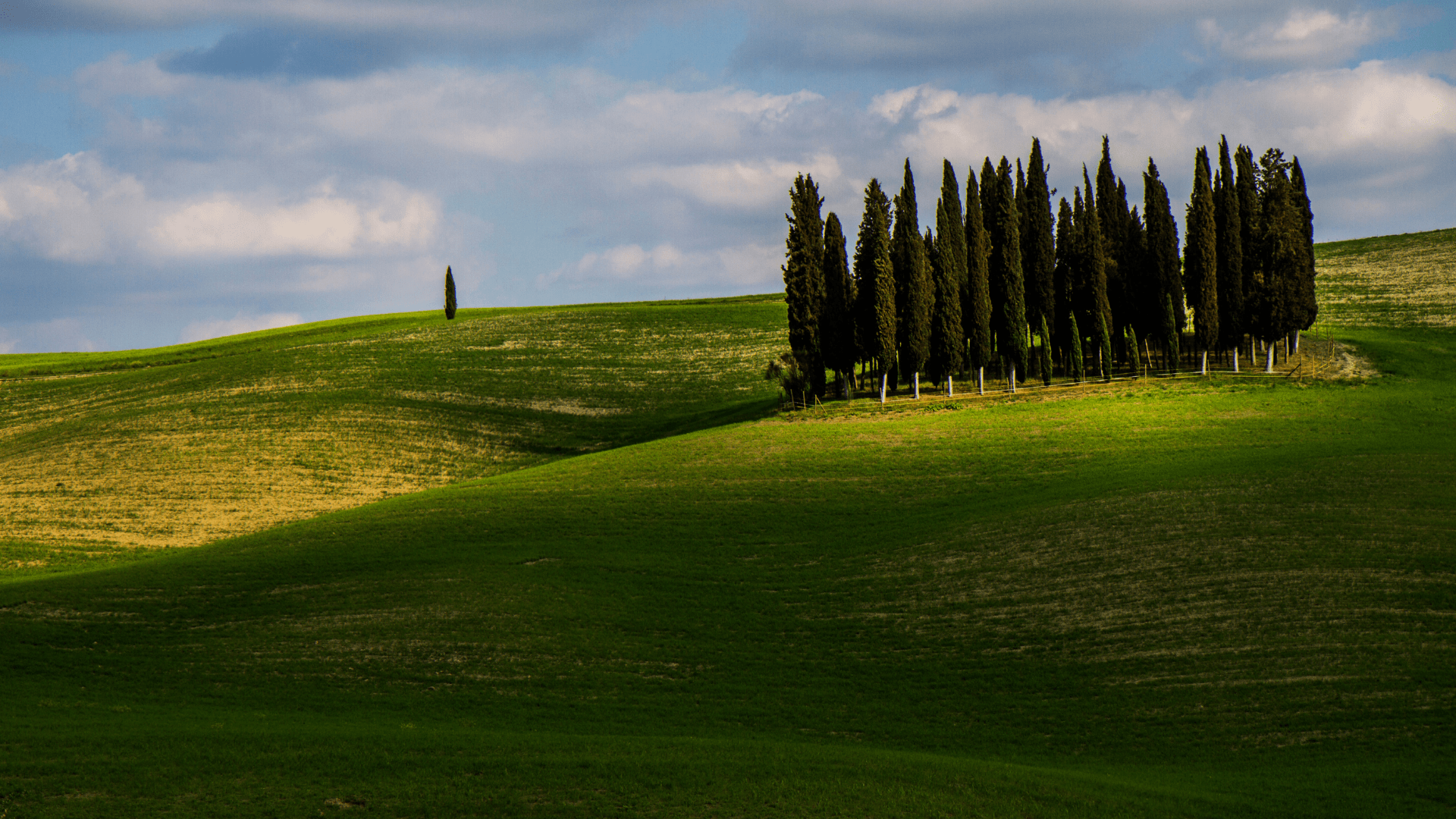 Val d’Orcia Drive 