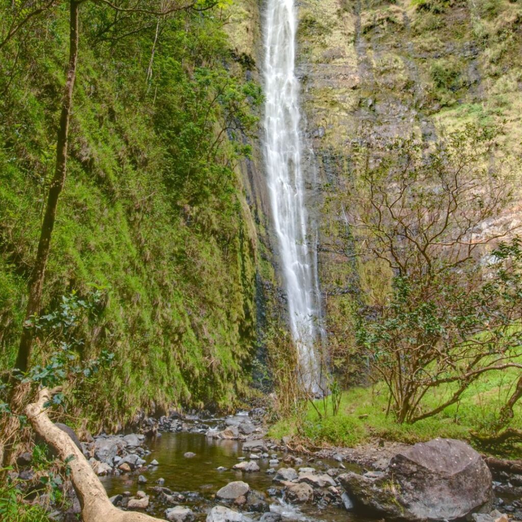 Waimoku Falls cascading down a cliff