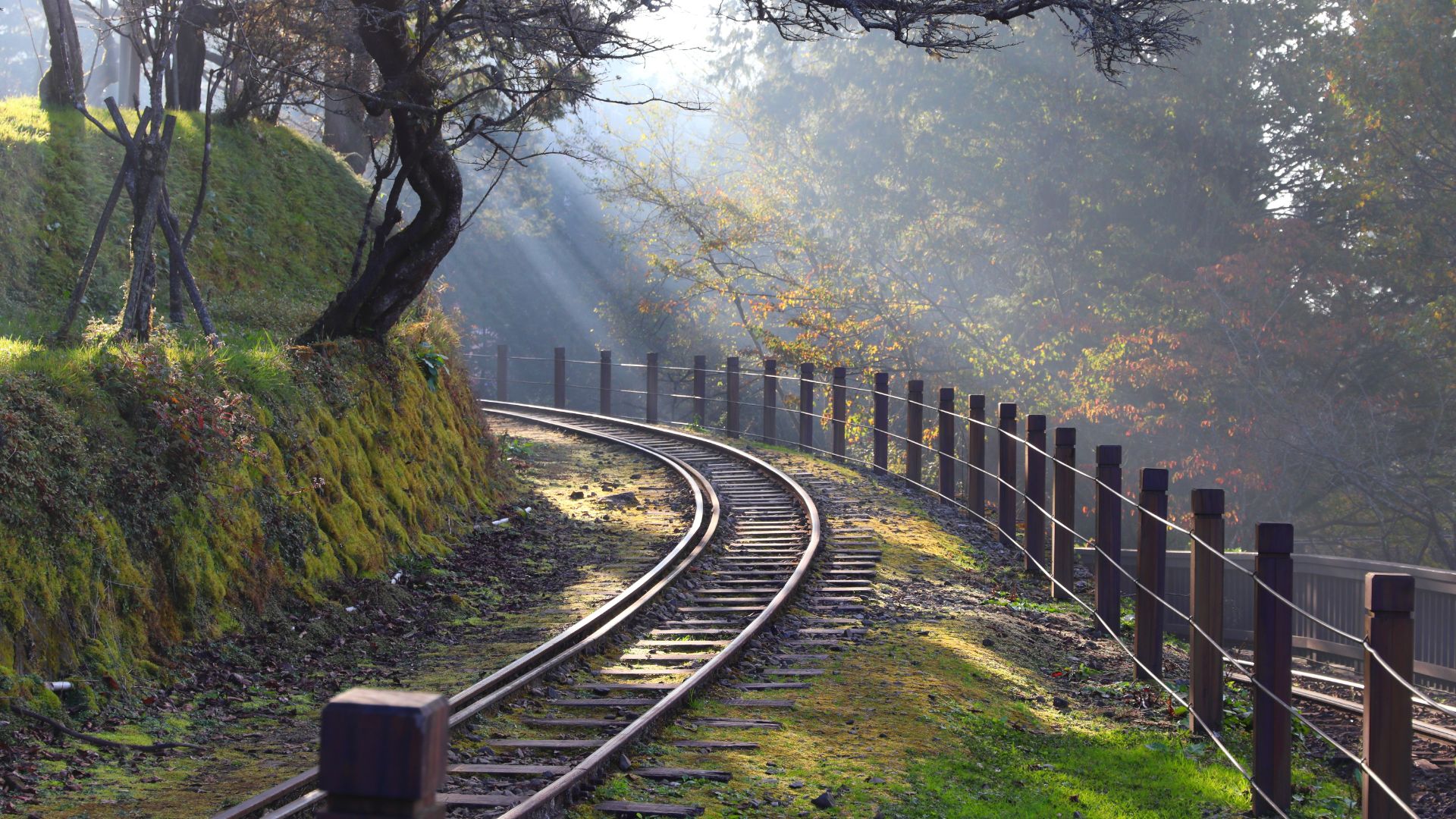 Autumn Alishan, Taiwan
