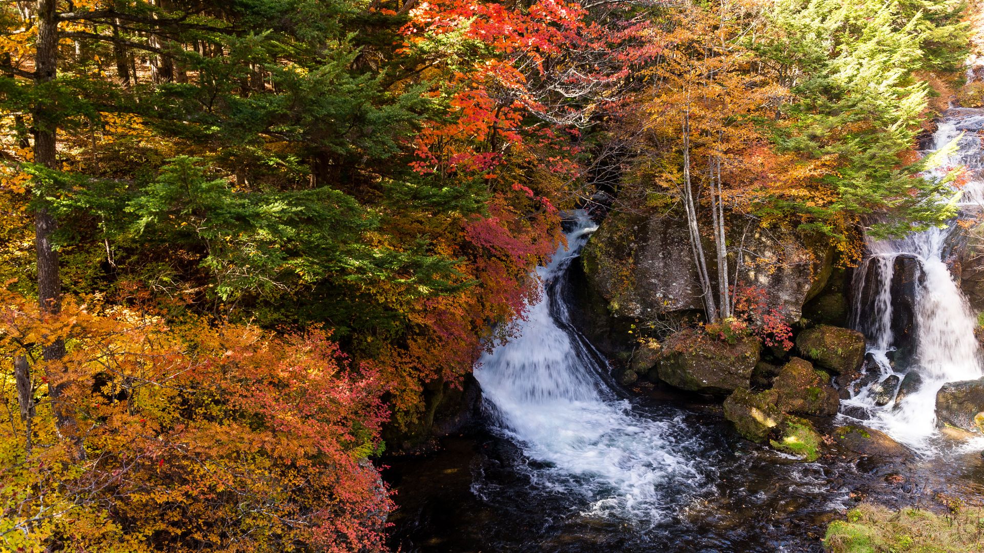 Autumn Nikko, Japan