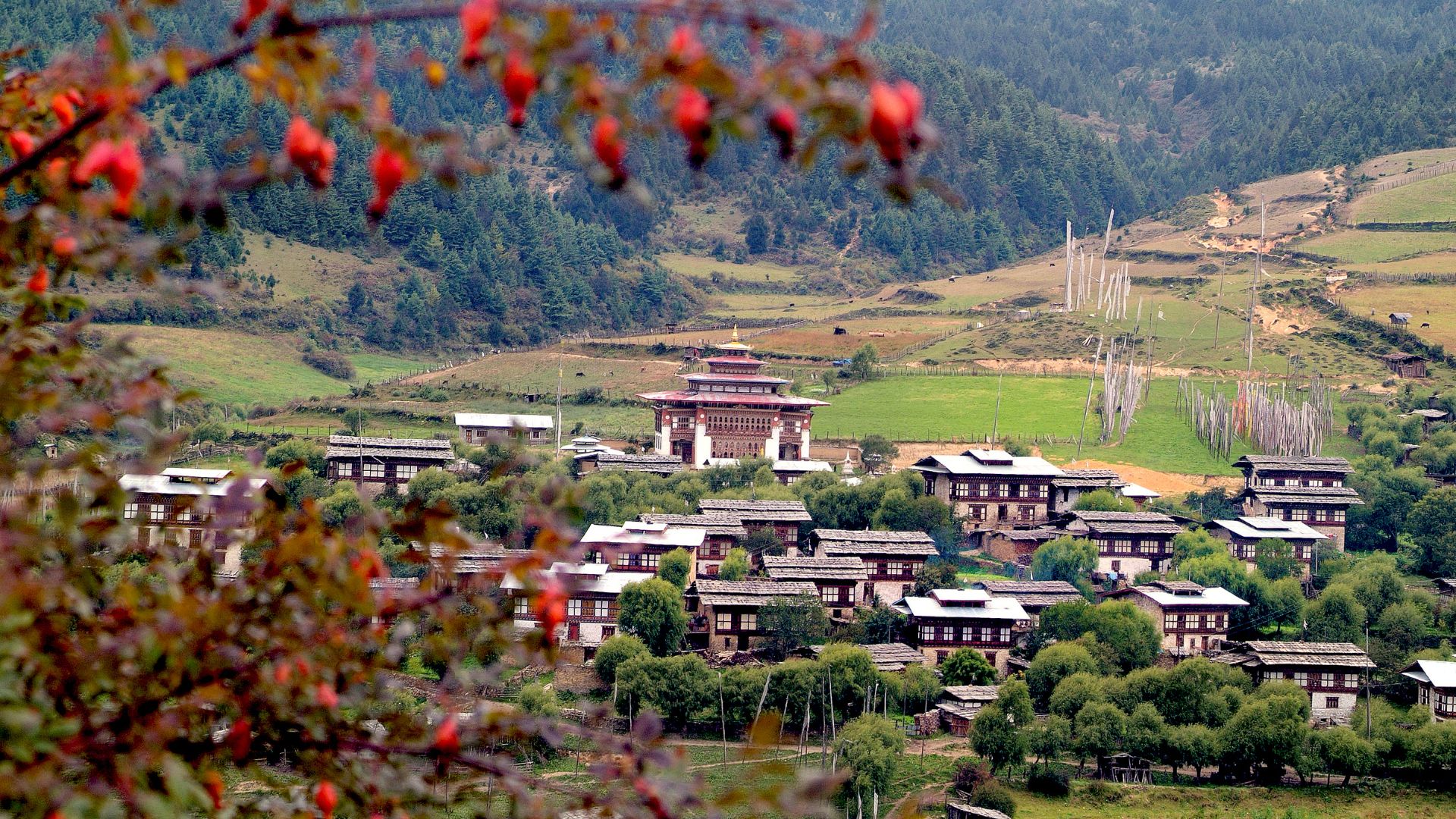 Bhutan Autumn