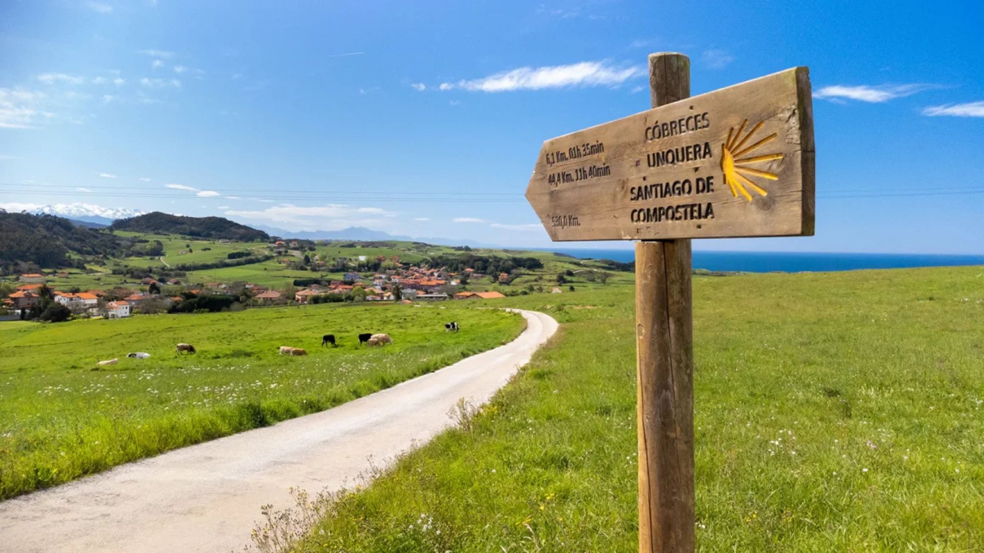 Camino De St