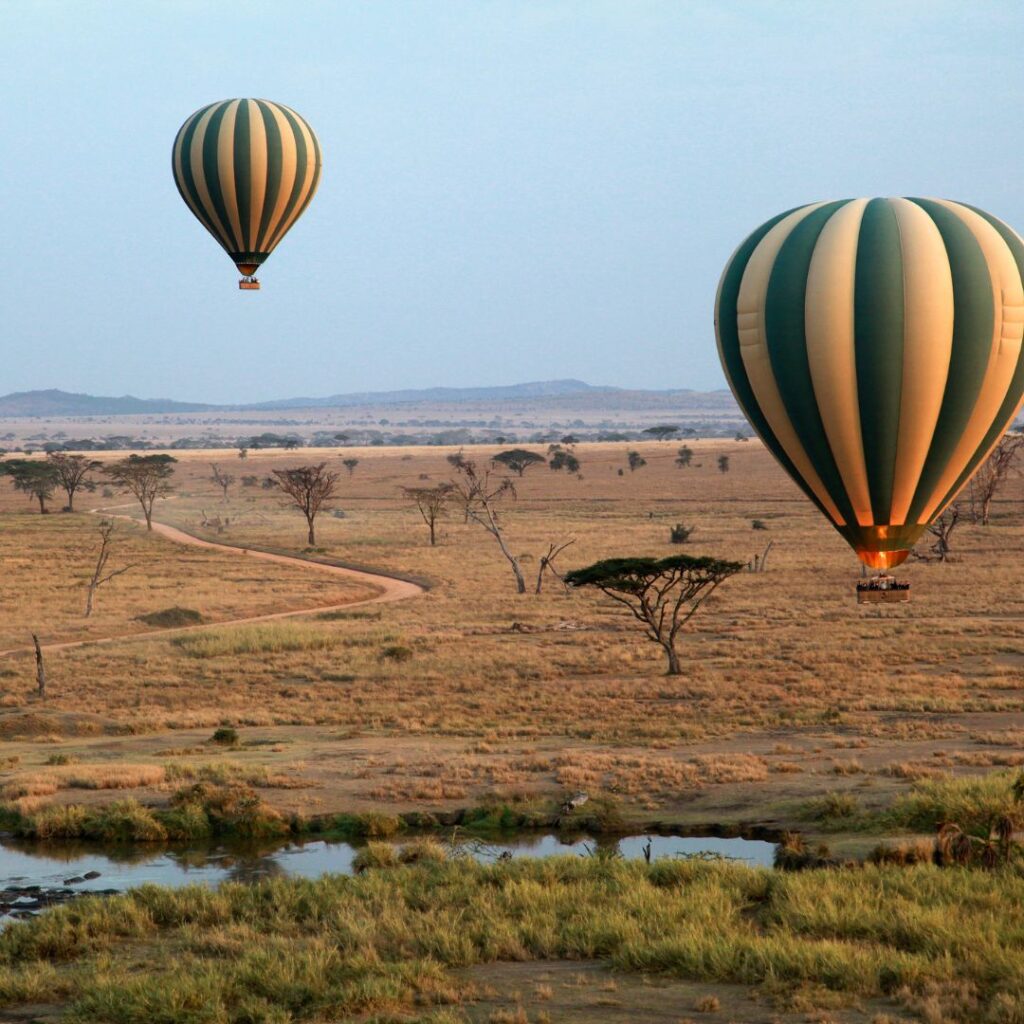Hot Air Balloon Safari