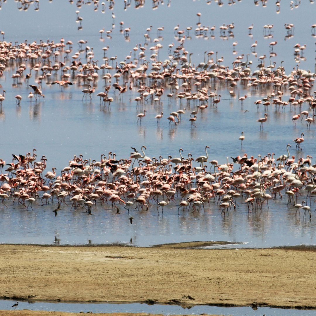 Lake Manyara