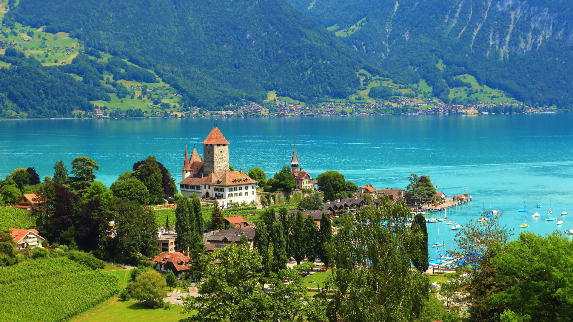 Lake Thun