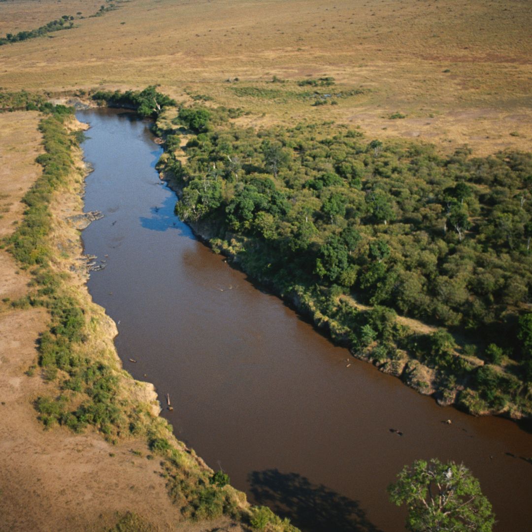 Mara River