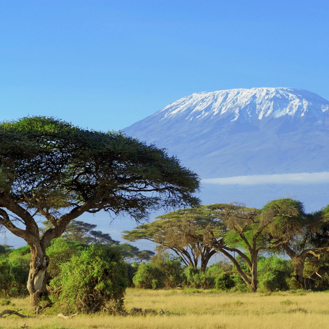 Mount Kilimanjaro