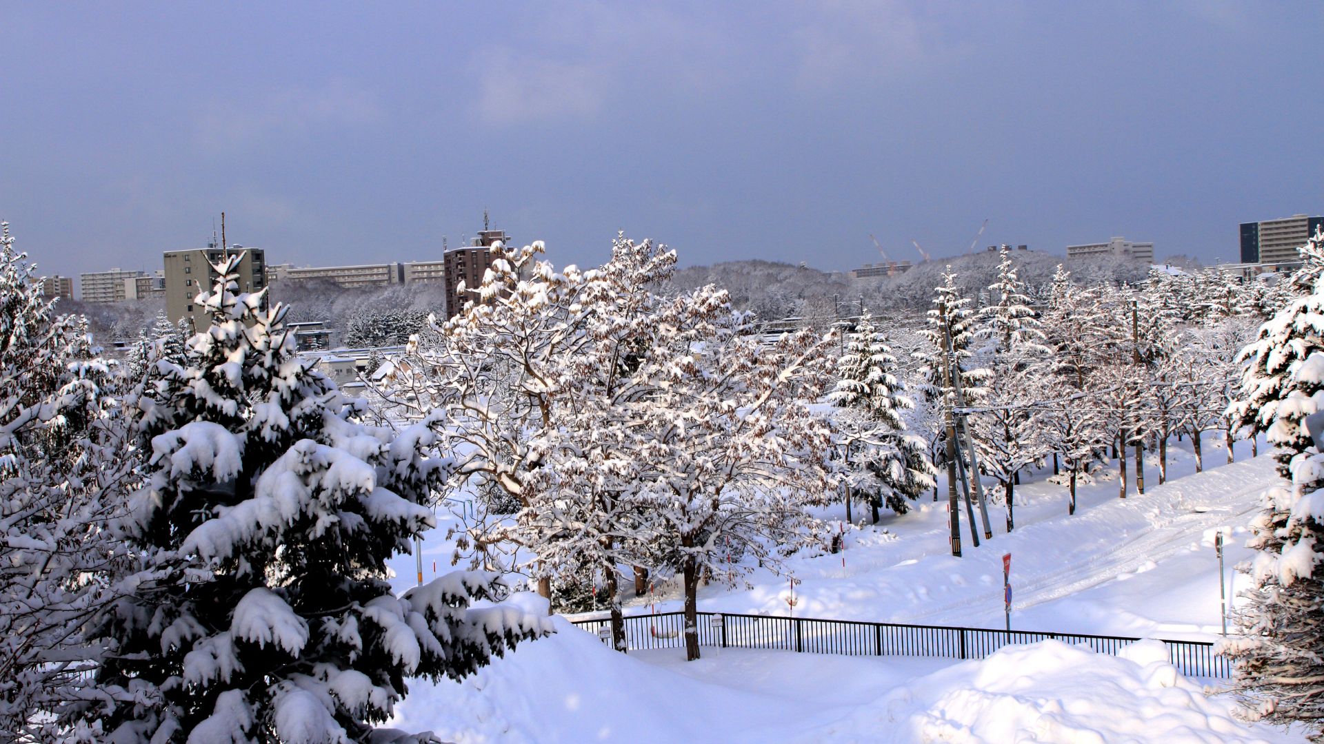 Sapporo Snow