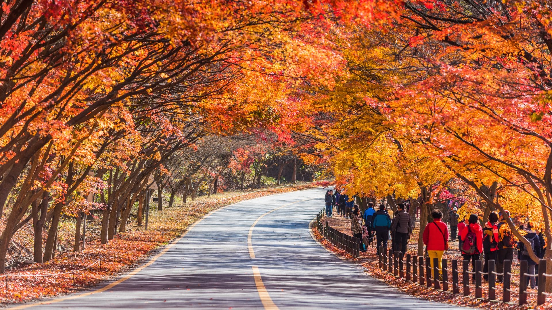 Seoraksan National Park, South Korea