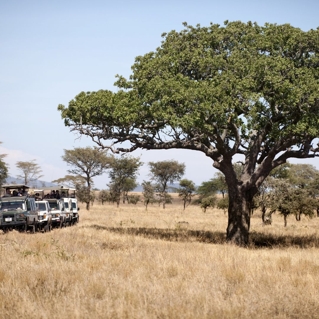 Serengeti National Park