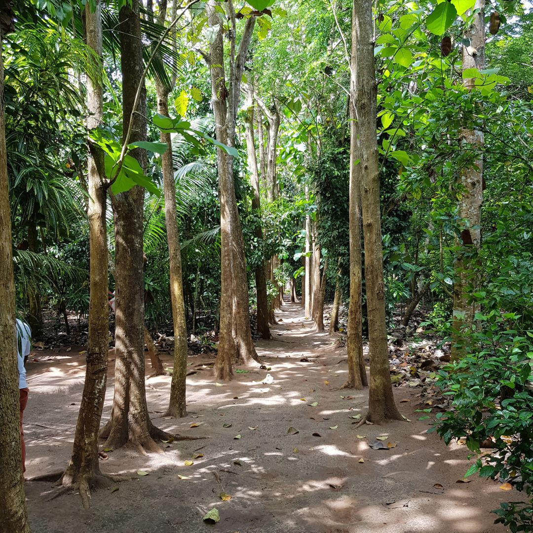 Spice Farms Zanzibar