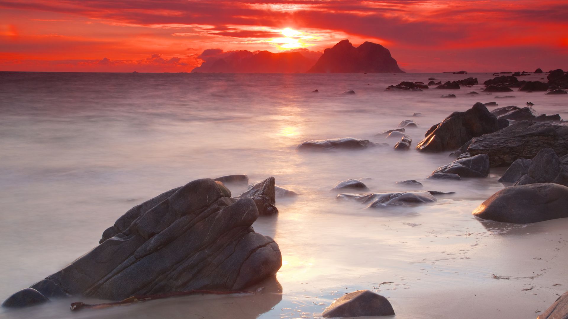 Midnight Sun