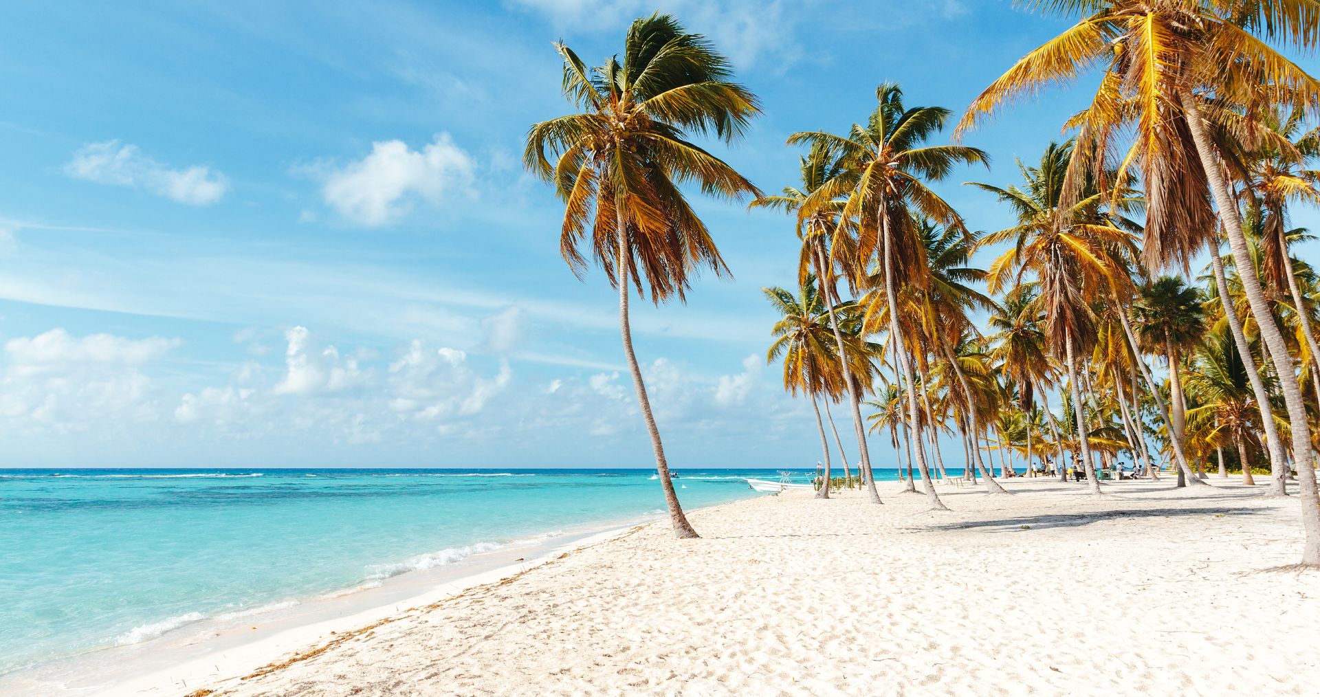 Palm trees leaning over a white-sand Caribbean beach