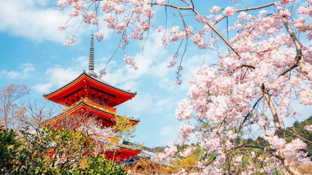 A red pagoda framed by cherry blossoms in Kyoto, Japan
