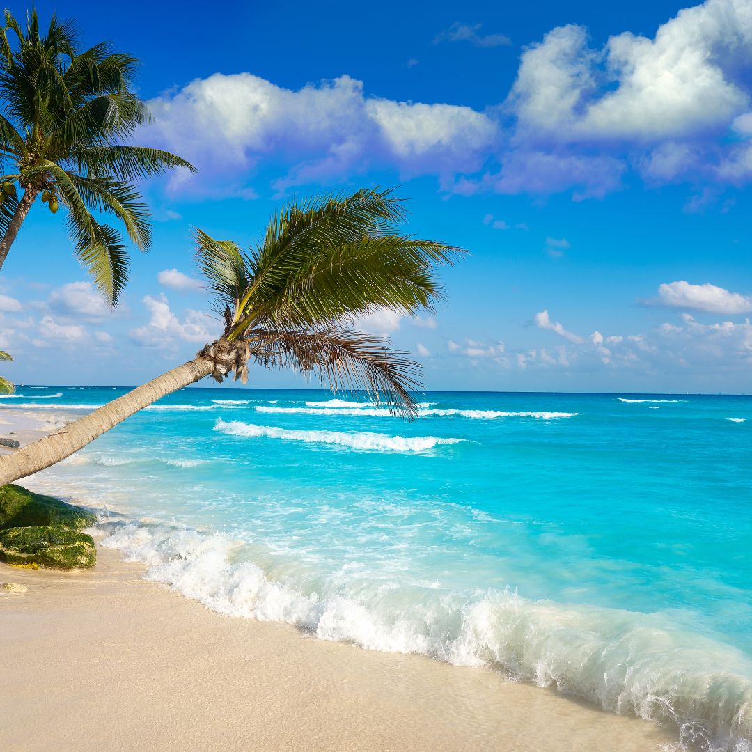 Playa del Carmen