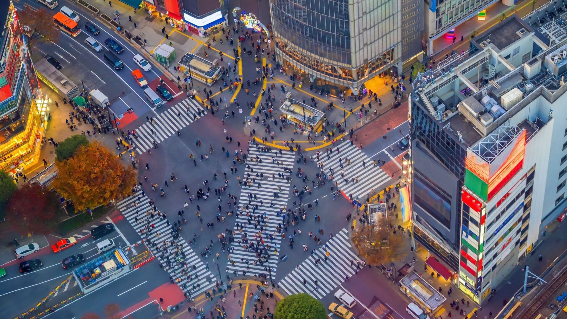 Shibuya Crossing