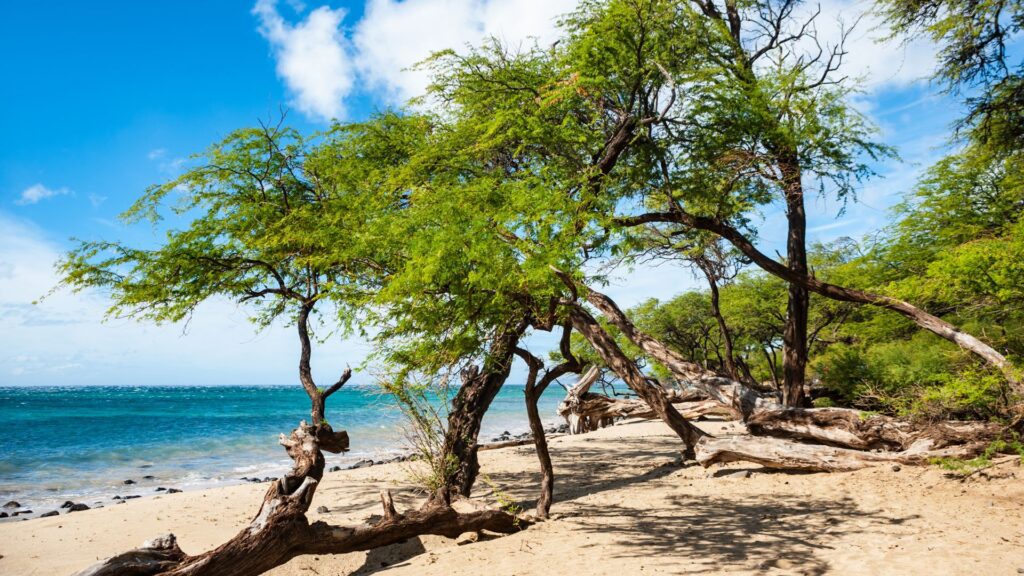 Makena Beach on Maui