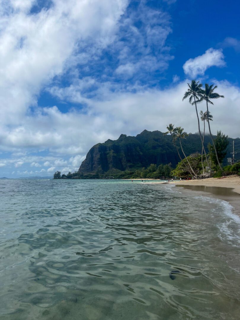 Hawaii Sandbar