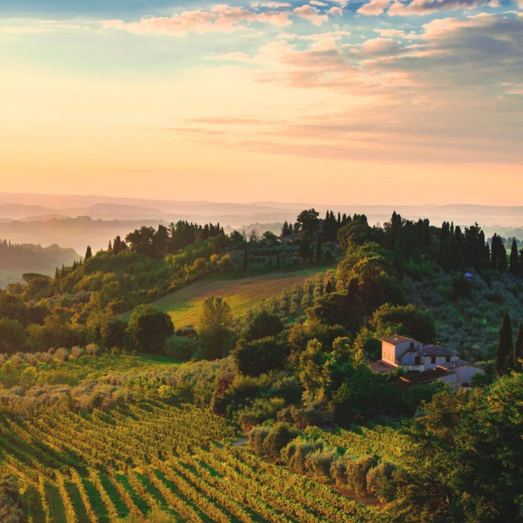 Rolling vineyards and cypress trees in the Tuscan countryside