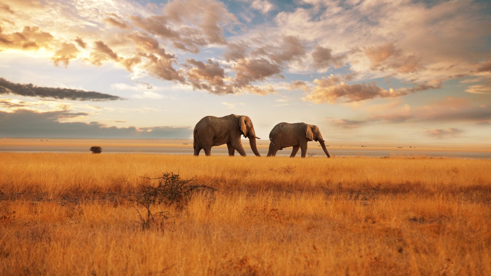 Kenya