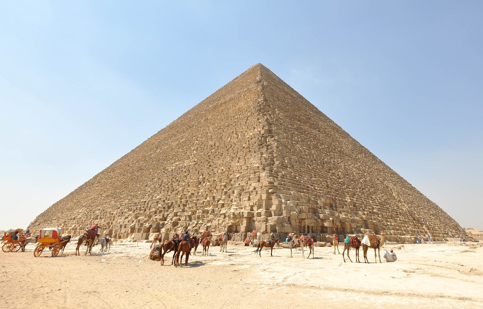 Camels and horses at the foot of the Great Pyramid